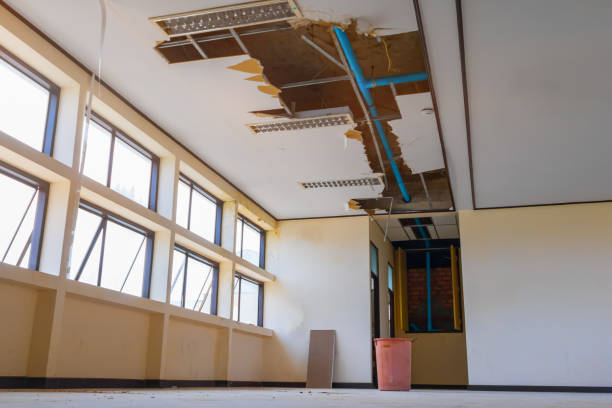 Trusted MT Water damage restoration Experts