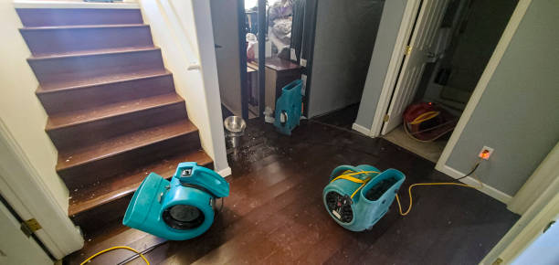 Best 24/7 water damage repair  in Choteau, MT