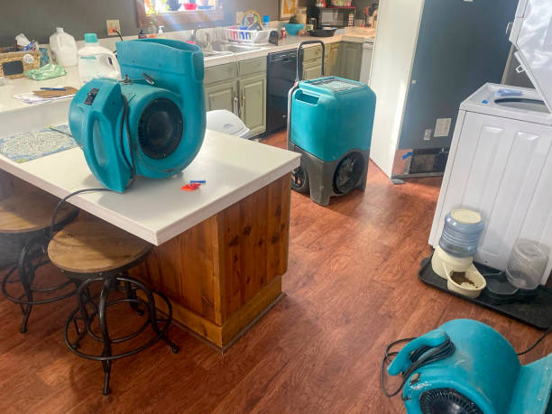 Best Professional water damage repair  in Choteau, MT
