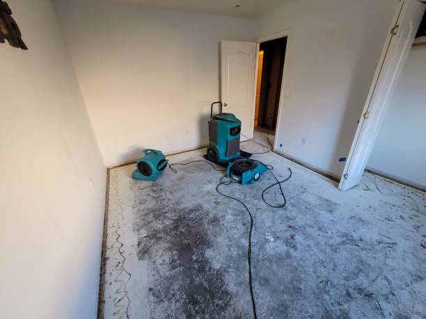 Carpet water damage restoration in MT