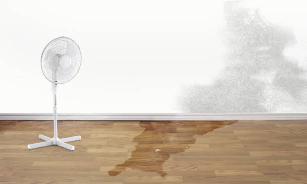 Best 24-hour water damage restoration  in Choteau, MT