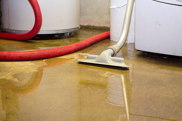 Best Flood damage cleanup  in Choteau, MT