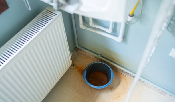 Best Water damage restoration near me  in Choteau, MT