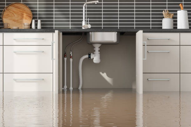  Choteau, MT Water damage restoration Pros