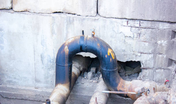 Best Water damage cleanup near me  in Choteau, MT